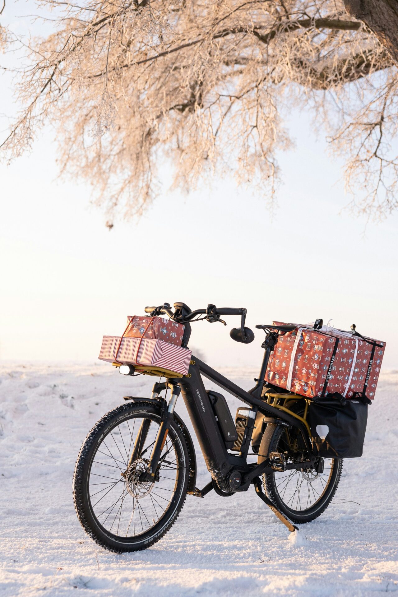 Vélo cargo a Paris