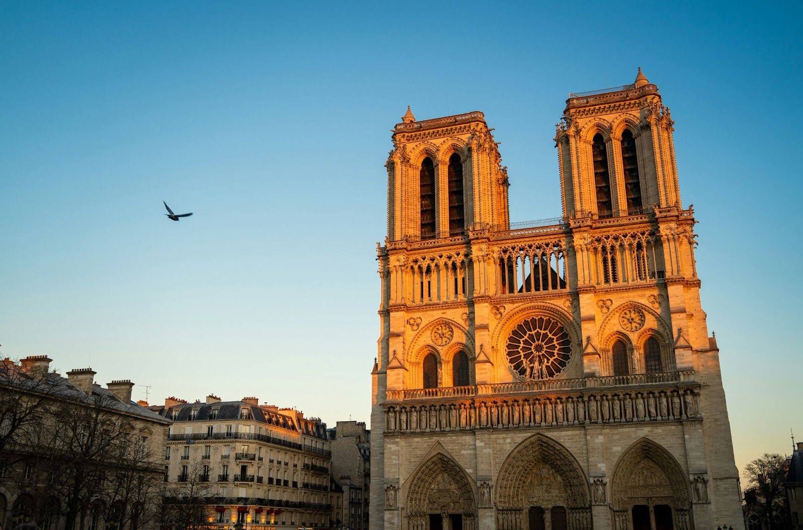 Visiter notre dame et les alentour en vélos